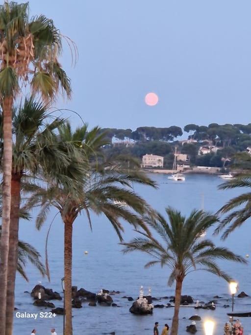 Cozy Studio, Sea View, Old Town, Near Beaches أنتيب المظهر الخارجي الصورة