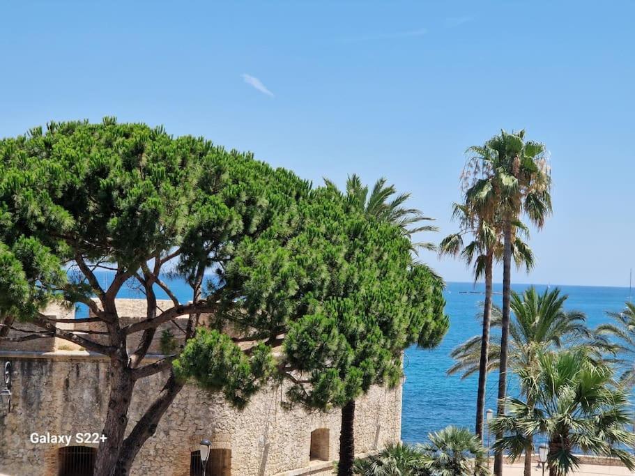 Cozy Studio, Sea View, Old Town, Near Beaches أنتيب المظهر الخارجي الصورة